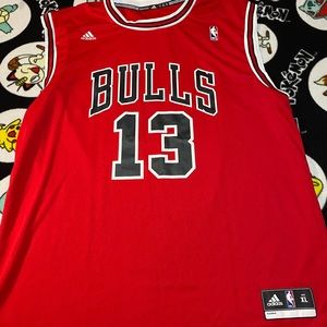 Chicago bulls Noah jersey